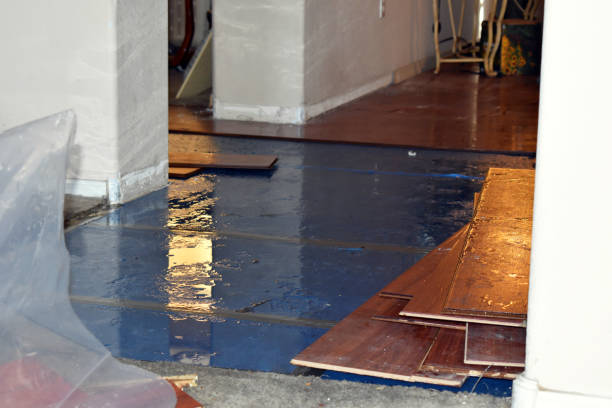 Professional Basement Flood Cleanup technician working in Crosbyton, TX